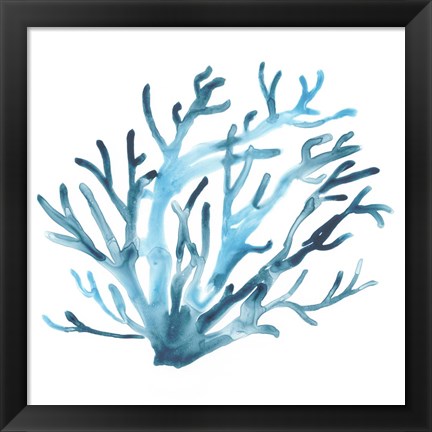 Framed Azure Seafan IV Print