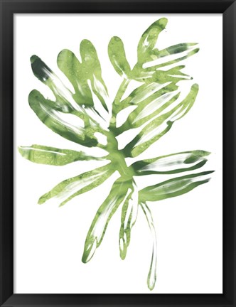 Framed Emerald Tropics III Print