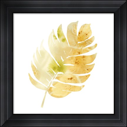 Framed Prisma Tropical III Print