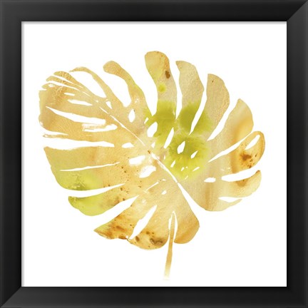 Framed Prisma Tropical IV Print