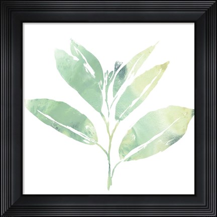 Framed Prisma Tropical II Print
