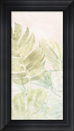 Framed Tropical Sorbet II Print