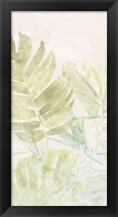 Framed Tropical Sorbet II Print