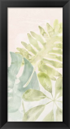 Framed Tropical Sorbet I Print