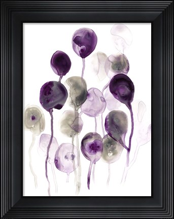Framed Plum Pods I Print