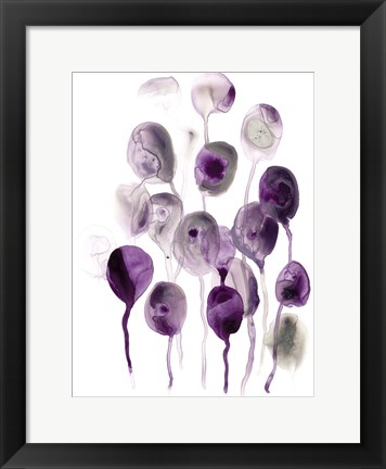 Framed Plum Pods II Print