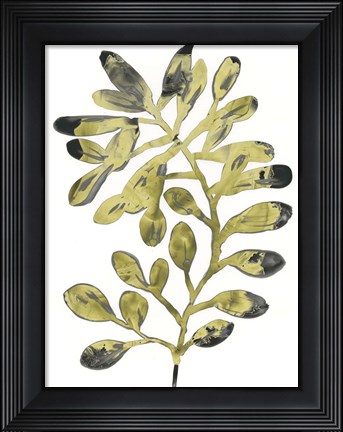 Framed Foliage Fossil II Print
