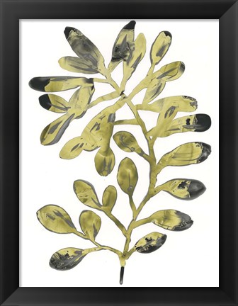 Framed Foliage Fossil II Print