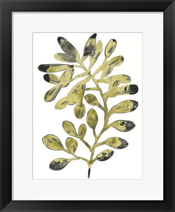 Framed Foliage Fossil II Print