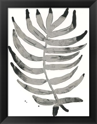 Framed Foliage Fossil IV Print
