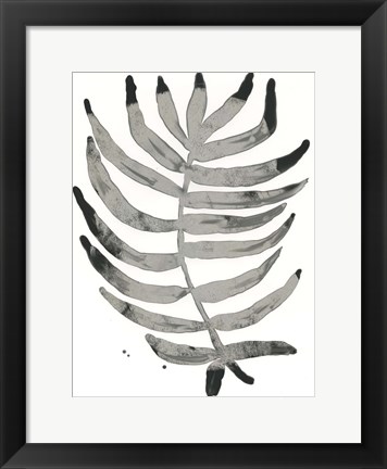 Framed Foliage Fossil IV Print