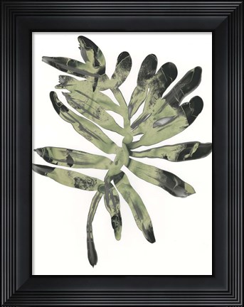 Framed Foliage Fossil V Print
