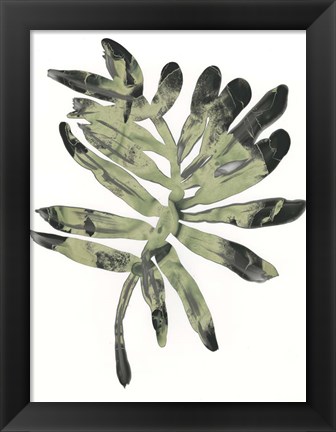 Framed Foliage Fossil V Print