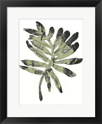 Framed Foliage Fossil V Print