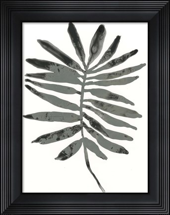 Framed Foliage Fossil VII Print