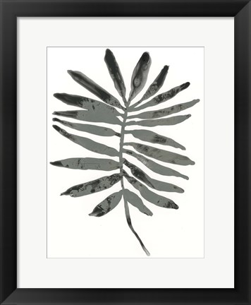 Framed Foliage Fossil VII Print