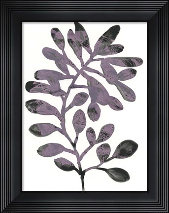 Framed Foliage Fossil VIII Print