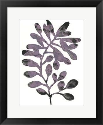 Framed Foliage Fossil VIII Print