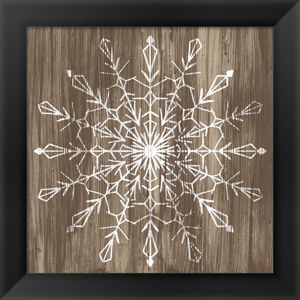 Framed Barnwood Wonderland VI Print