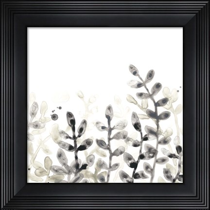 Framed Liquid Stems III Print