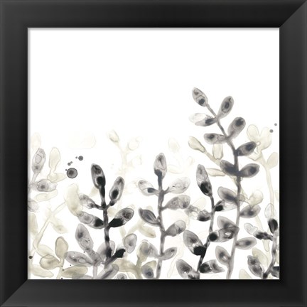 Framed Liquid Stems III Print