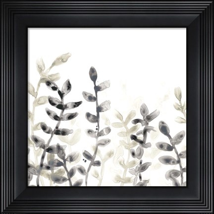 Framed Liquid Stems IV Print