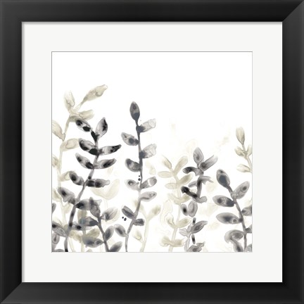 Framed Liquid Stems IV Print