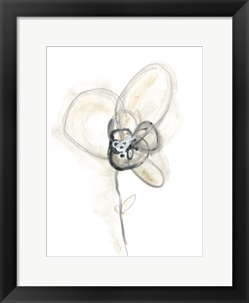 Framed Monochrome Floral Study I Print