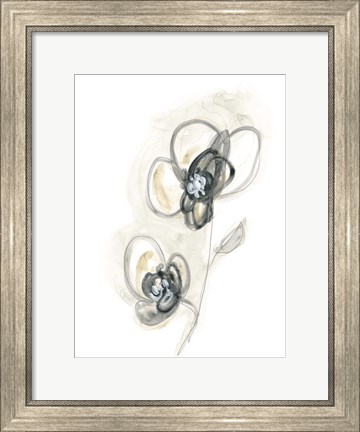 Framed Monochrome Floral Study II Print