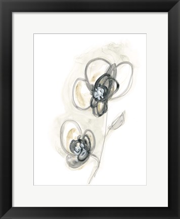 Framed Monochrome Floral Study II Print