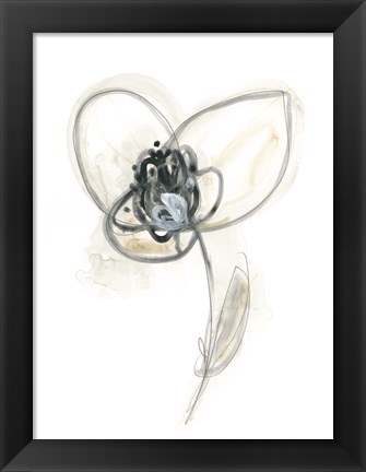 Framed Monochrome Floral Study VII Print