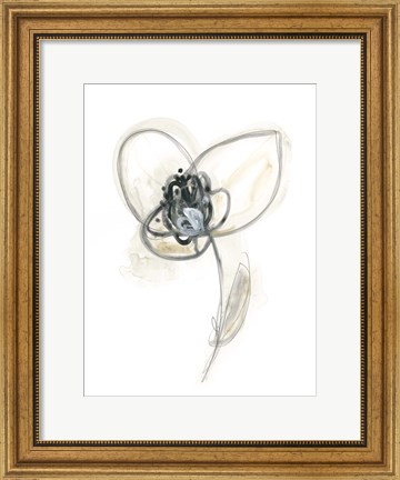 Framed Monochrome Floral Study VII Print