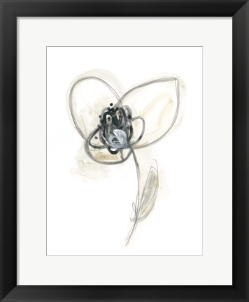 Framed Monochrome Floral Study VII Print