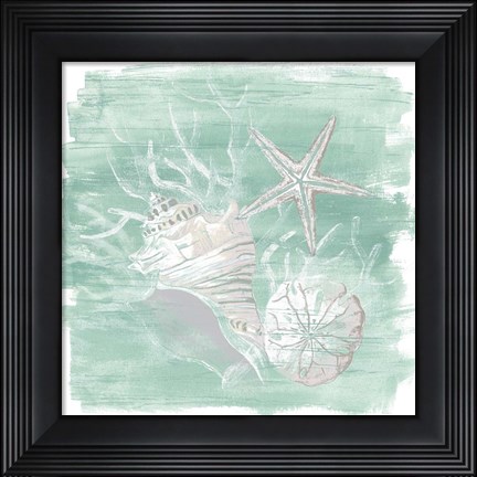 Framed Weathered Shell Assortment I Print