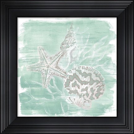 Framed Weathered Shell Assortment II Print