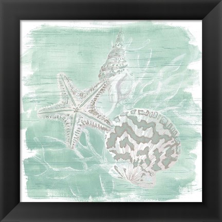 Framed Weathered Shell Assortment II Print