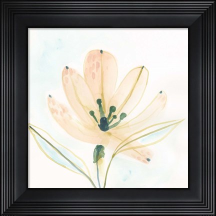 Framed Garden Essence VI Print