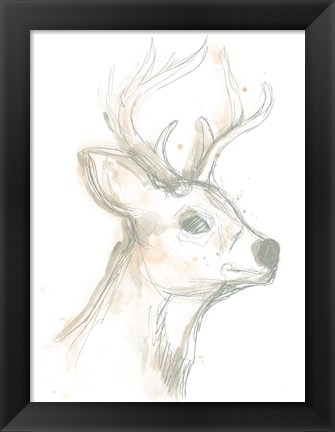 Framed Deer Cameo IV Print