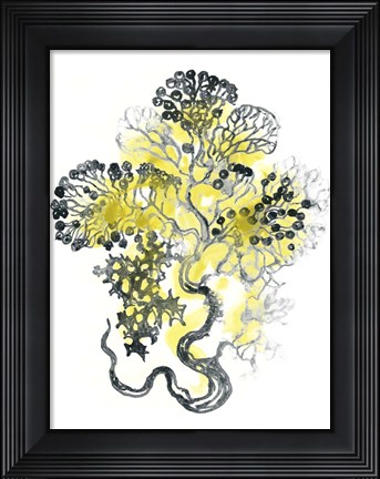Framed Citron Sea Kelp I Print