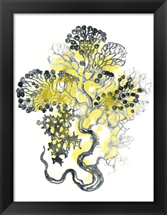 Framed Citron Sea Kelp I Print