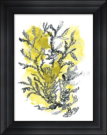 Framed Citron Sea Kelp II Print