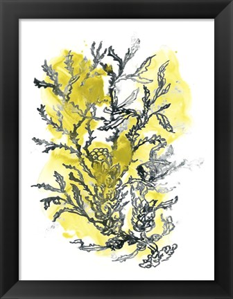 Framed Citron Sea Kelp II Print