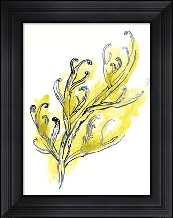 Framed Citron Sea Kelp III Print