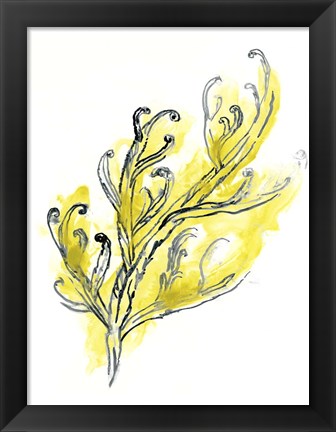 Framed Citron Sea Kelp III Print