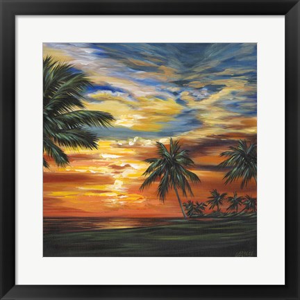 Framed Stunning Tropical Sunset II Print