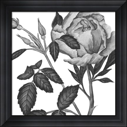Framed Flowers in Grey I Print