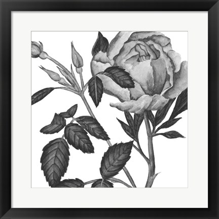 Framed Flowers in Grey I Print