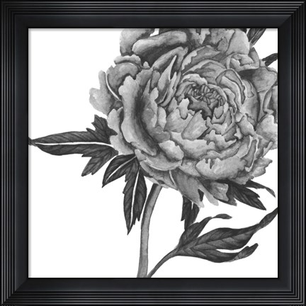 Framed Flowers in Grey II Print