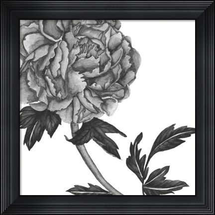 Framed Flowers in Grey III Print
