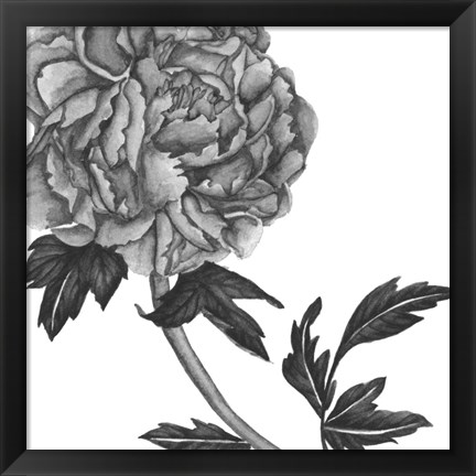 Framed Flowers in Grey III Print